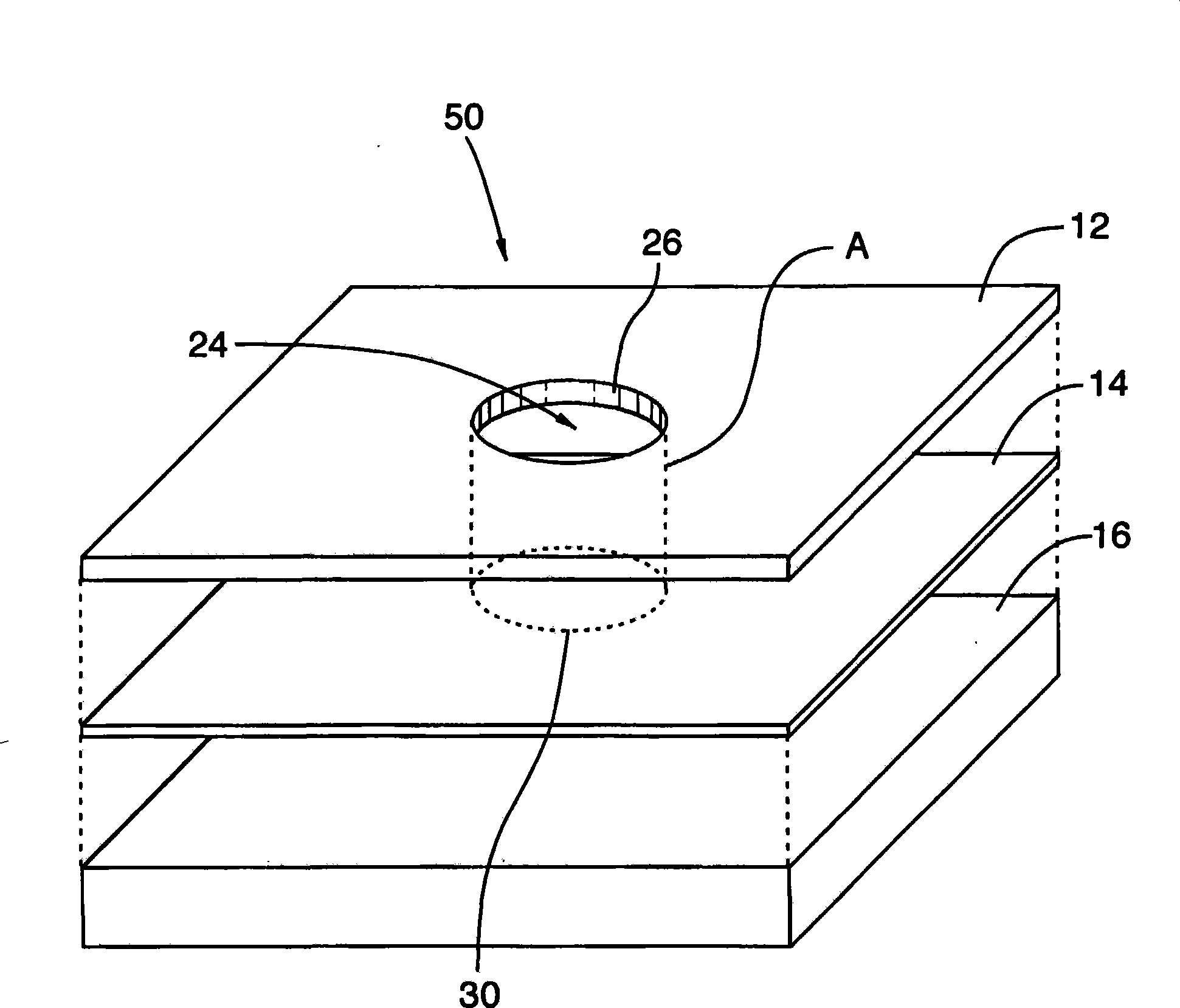 Disposable immunodiagnostic test system