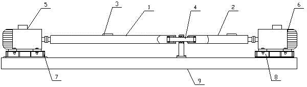 Diffuse axonal injury experimental setup