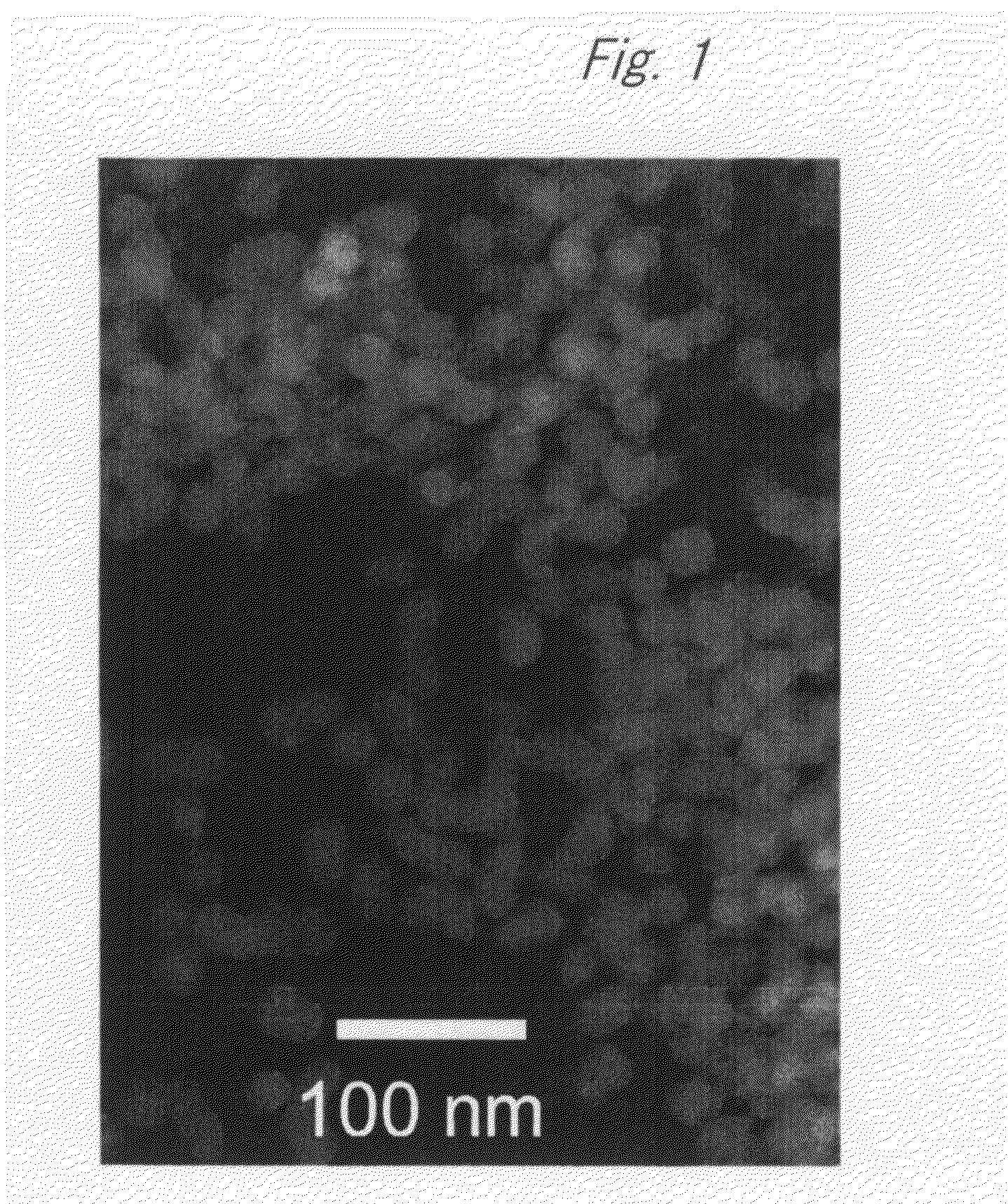 Fluorescent silica nano-particle, fluorescent nano-material, and biochip and assay using the same