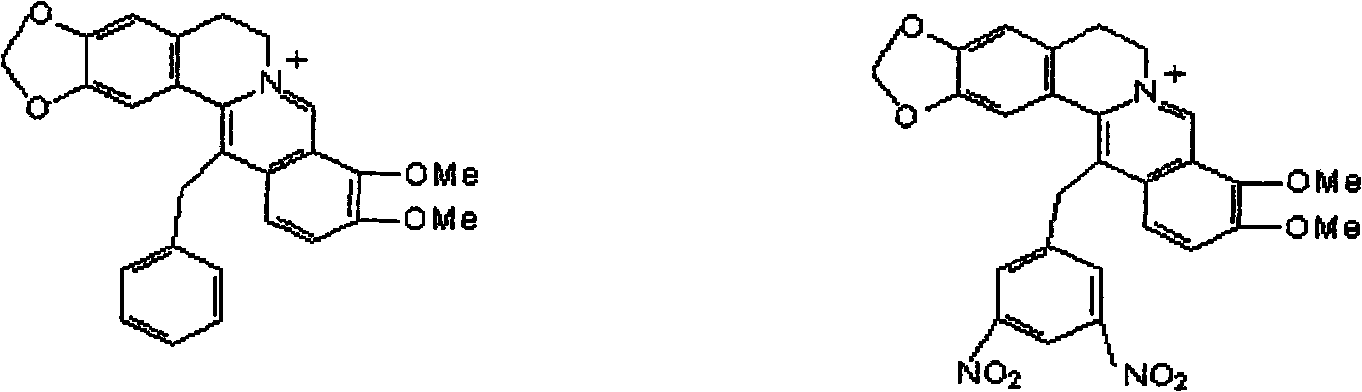 Synthetic method of berberine 13-bit derivant and berberrubine 13-bit derivant