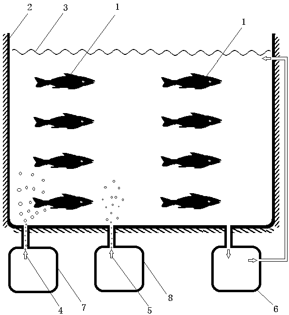 Deodorized detoxified fish recuperation method and deodorized detoxified fish thereof