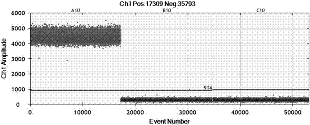 Method and kit for detecting xanthomonas oryzae pv. oryzicola by use of digital-PCR (polymerase chain reaction)