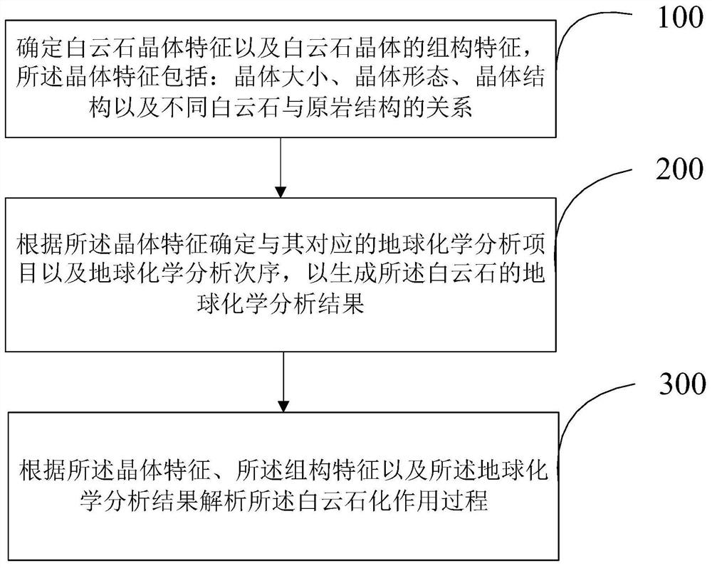 Method and device for identifying dolomite petrifaction action process