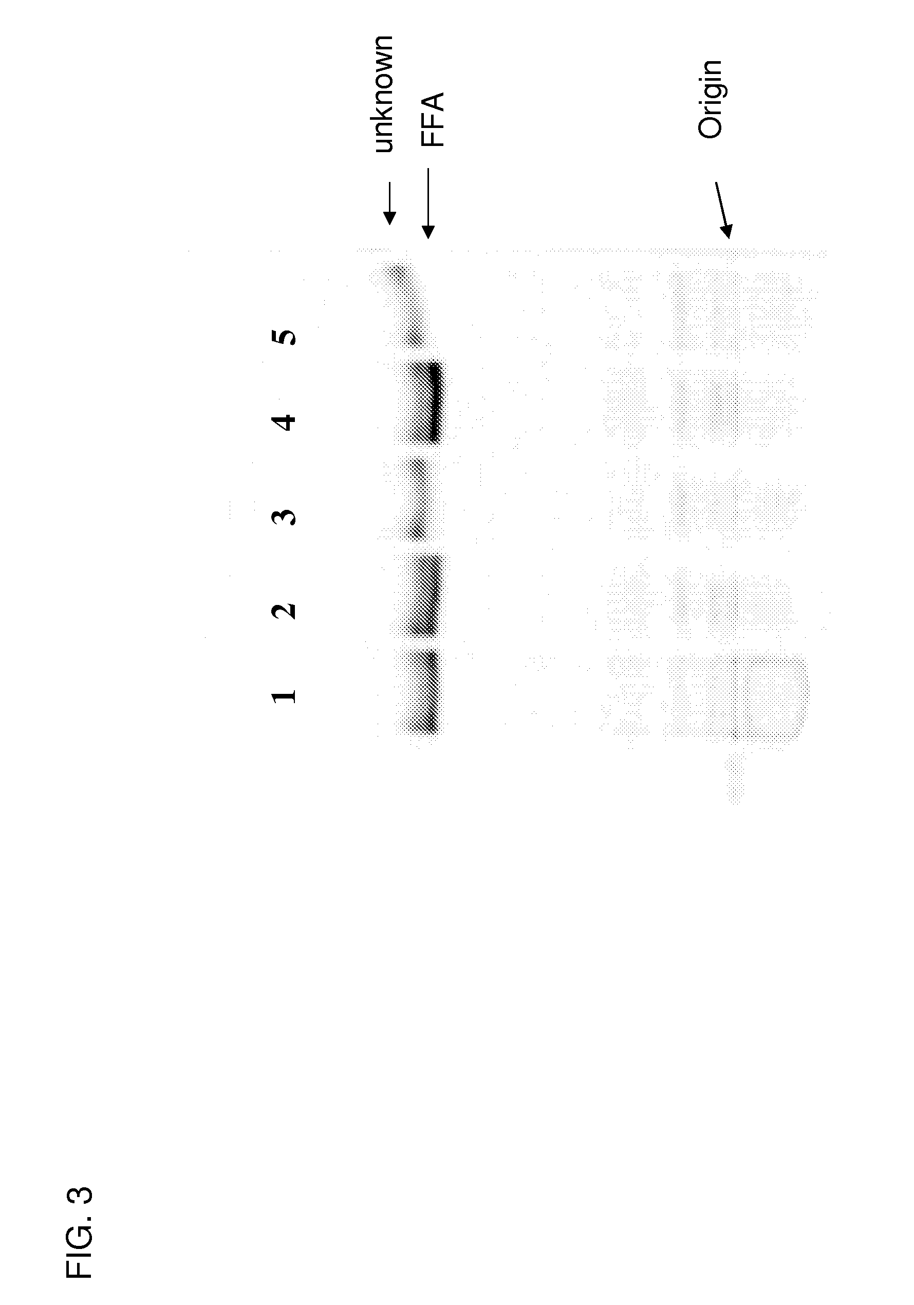 Polyunsaturated fatty acid production in heterologous organisms using PUFA polyketide synthase systems