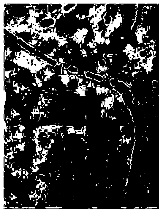 Streptococcus thermophilus and enrichment culture method and application thereof