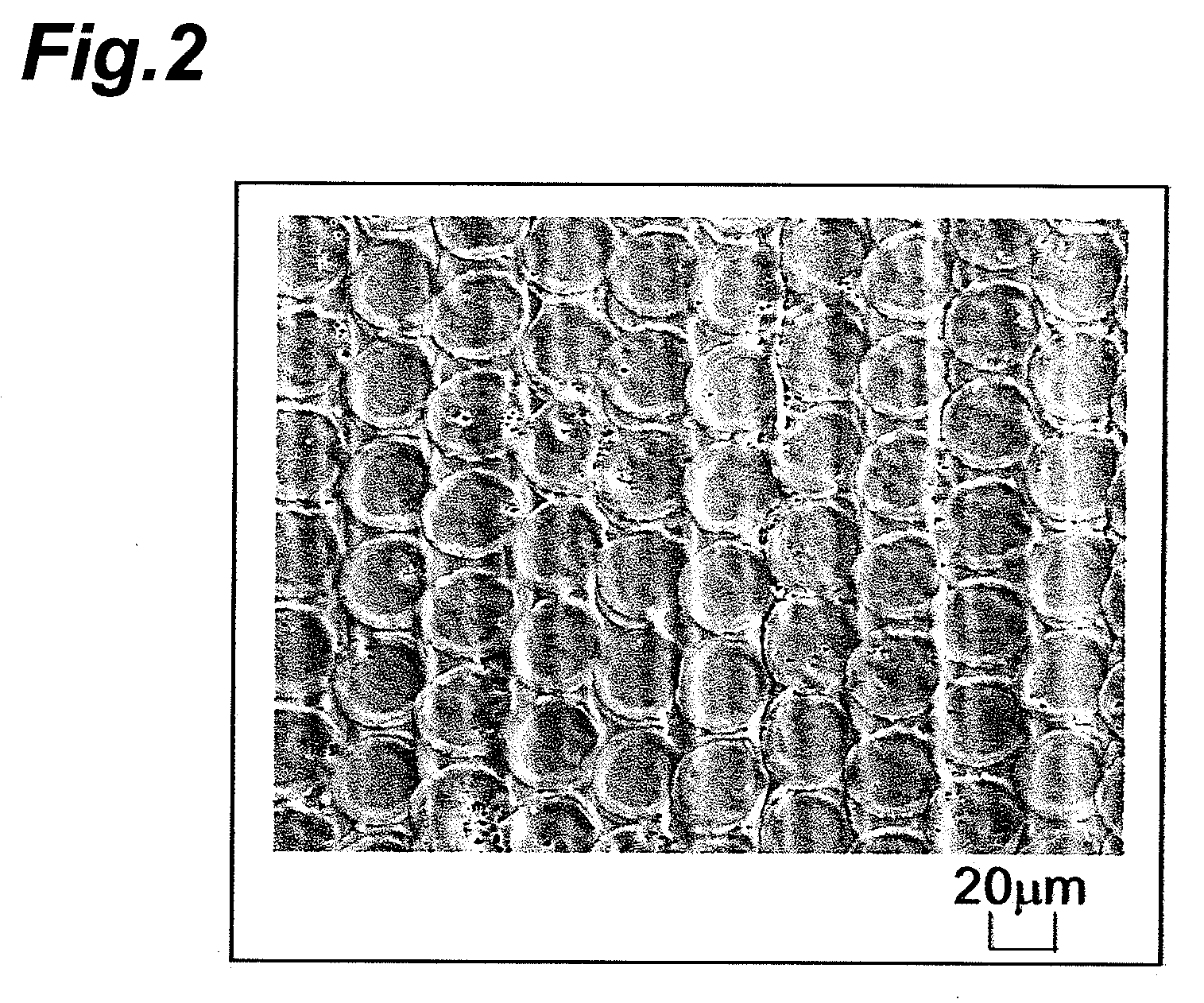 Surface modification method