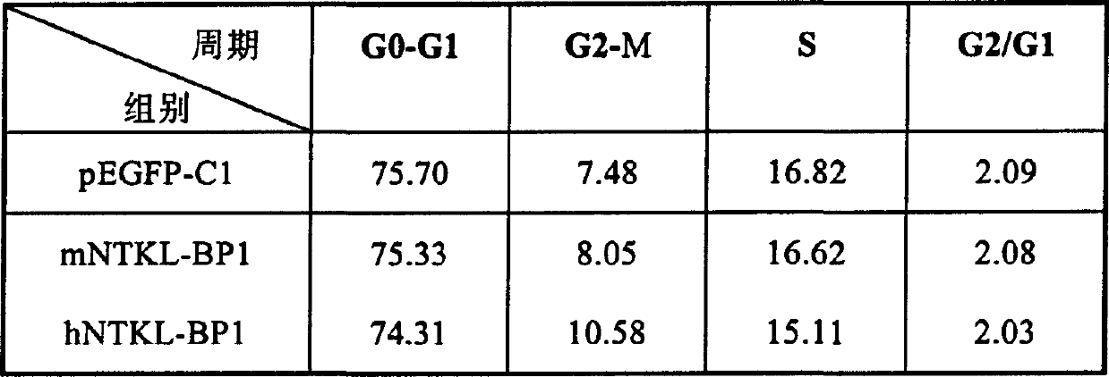 Tumor suppressor, coded protein and application thereof