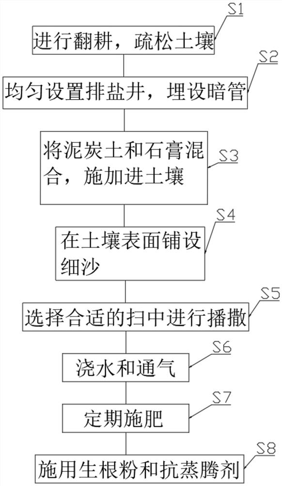 Saline-alkali land lawn planting method