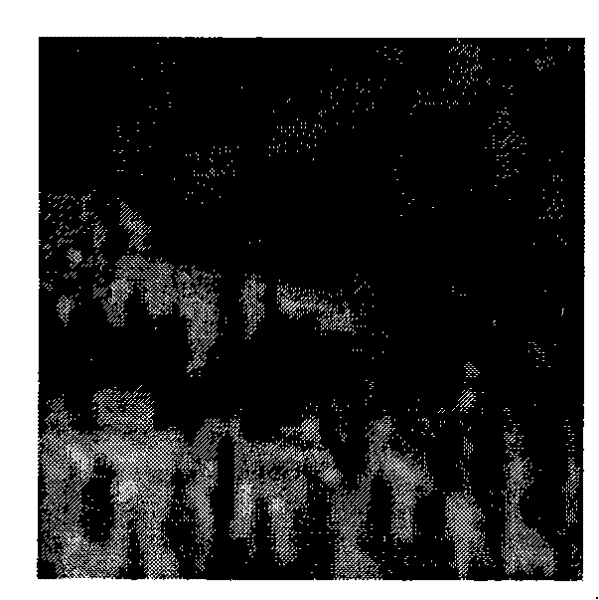 Operating range estimation method of infrared imaging system under complex background condition