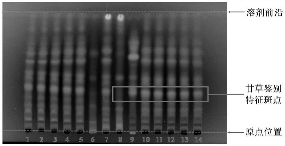 Thin-layer chromatography method for simultaneously identifying four single medicinal materials from Lonicera and Forsythia powder