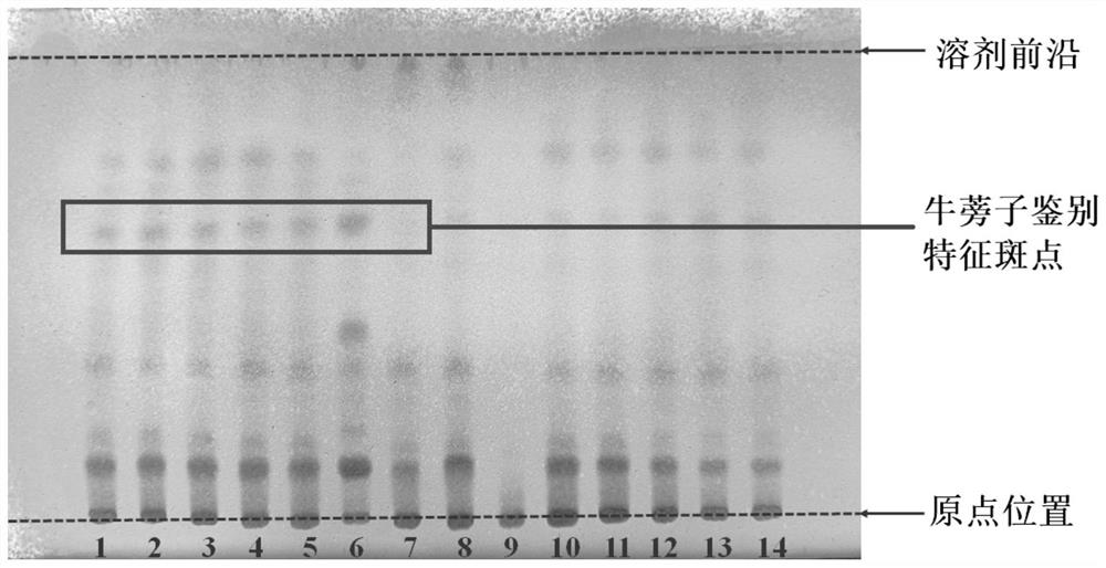 Thin-layer chromatography method for simultaneously identifying four single medicinal materials from Lonicera and Forsythia powder