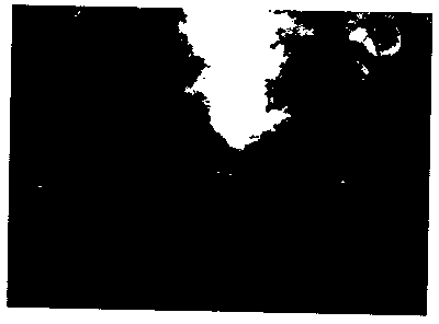 Method for identifying well lid part in streetscape image of mobile mapping system