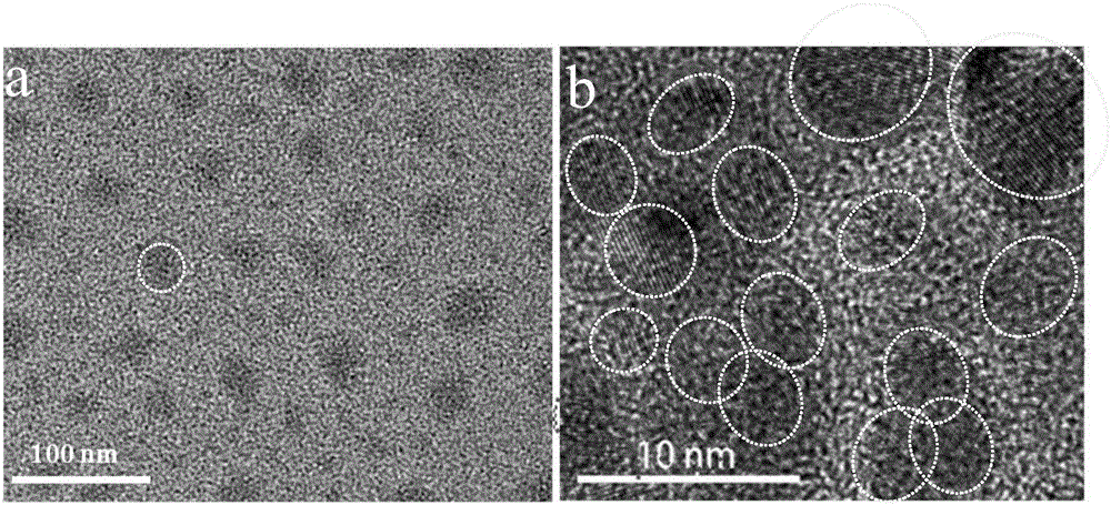 Batch synthesis method for green fluorescent nano carbon clusters