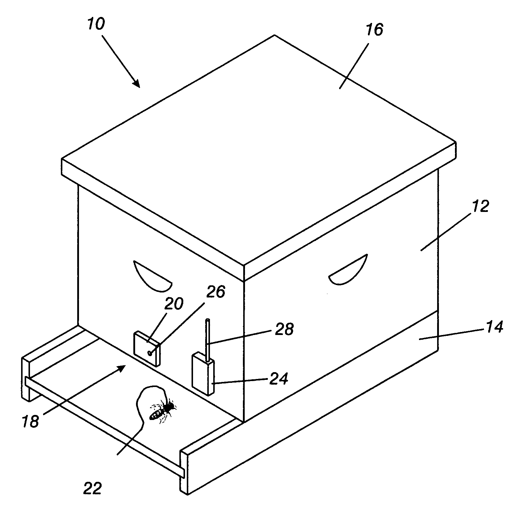 System to detect the presence of a queen bee in a hive