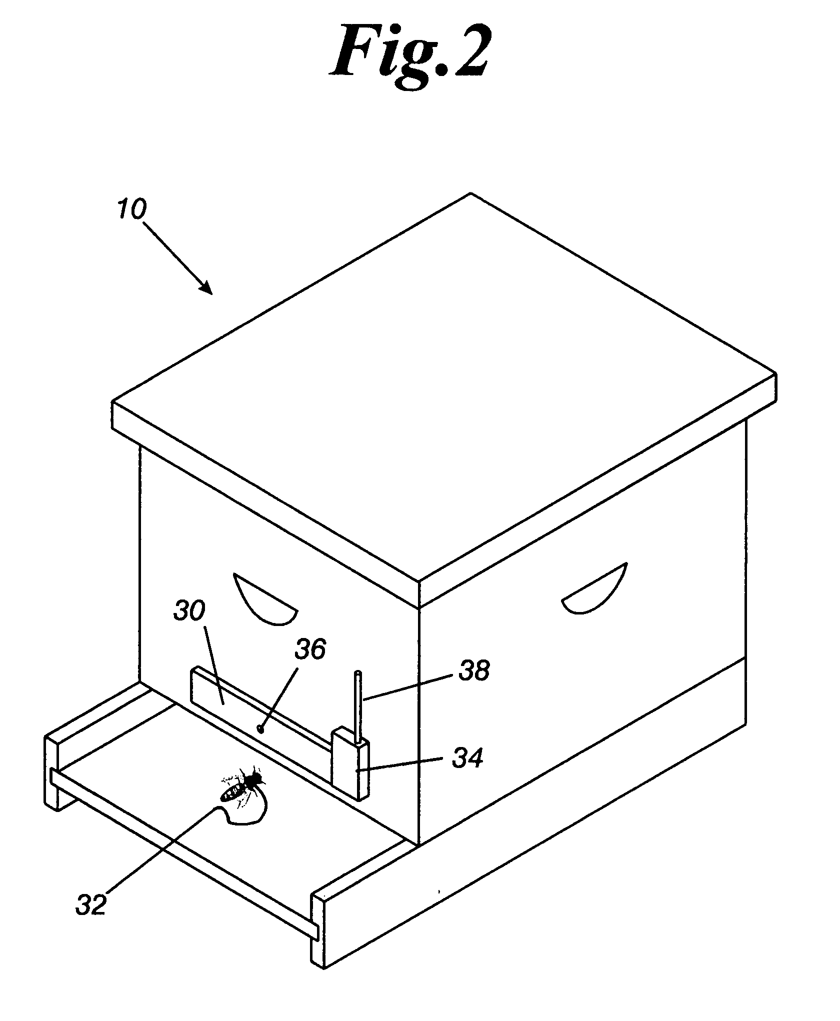 System to detect the presence of a queen bee in a hive