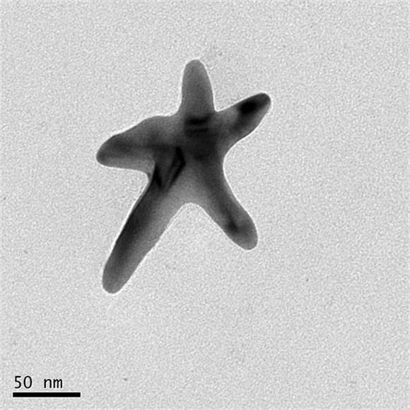 Preparation method of AuCu bimetallic electrocatalyst with pentagram structure