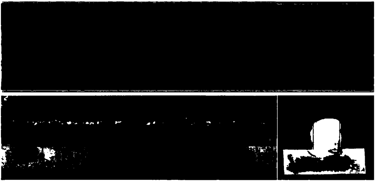 Automatic additive manufacturing method and device for robot plasma arc double-cooled filler rod