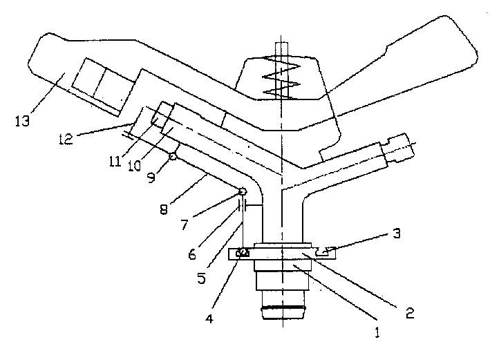 Rocking-arm type nozzle with non-circular spraying zone