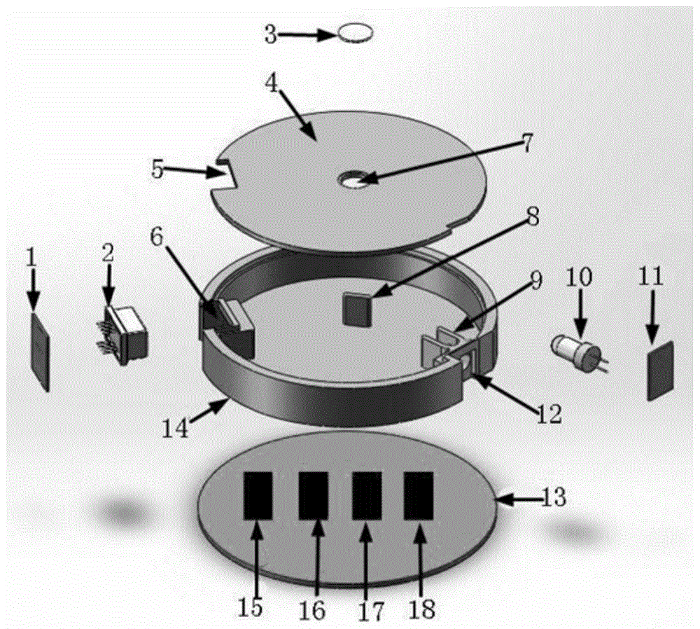 A dual optical path multi-gas infrared gas sensor