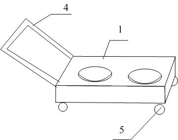 Spherical workpiece placement device