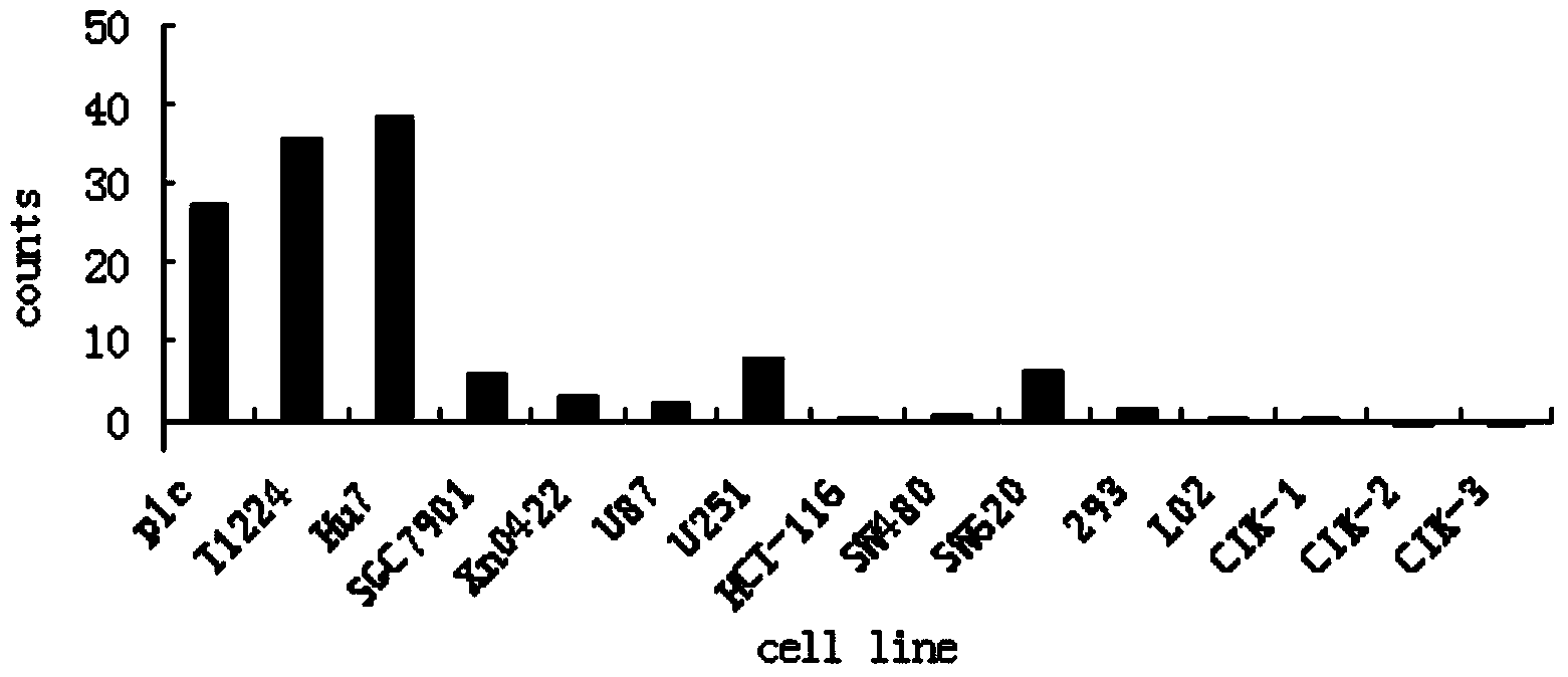 Anti-hepatoma stem cell monoclonal antibody and application thereof