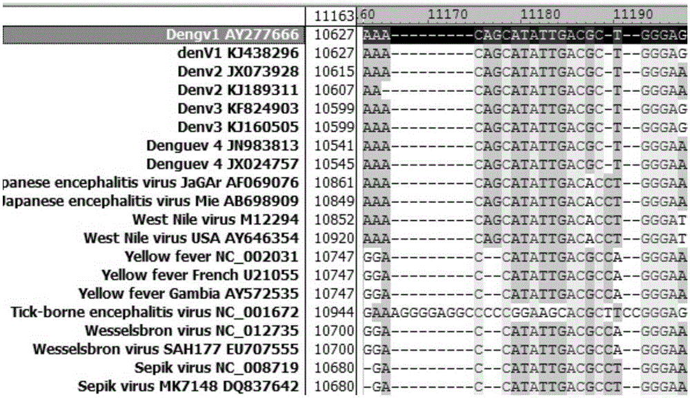 Reverse transcription pcr detection and typing kit for dengue virus and its detection method