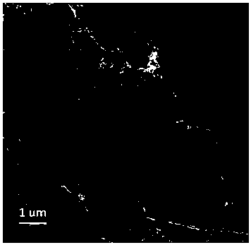 Preparation method and application of a nitrogen and oxygen in-situ doped porous carbon electrode material