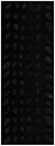 Method for predicting the content of scopoletin in wolfberry based on hyperspectral imaging technology