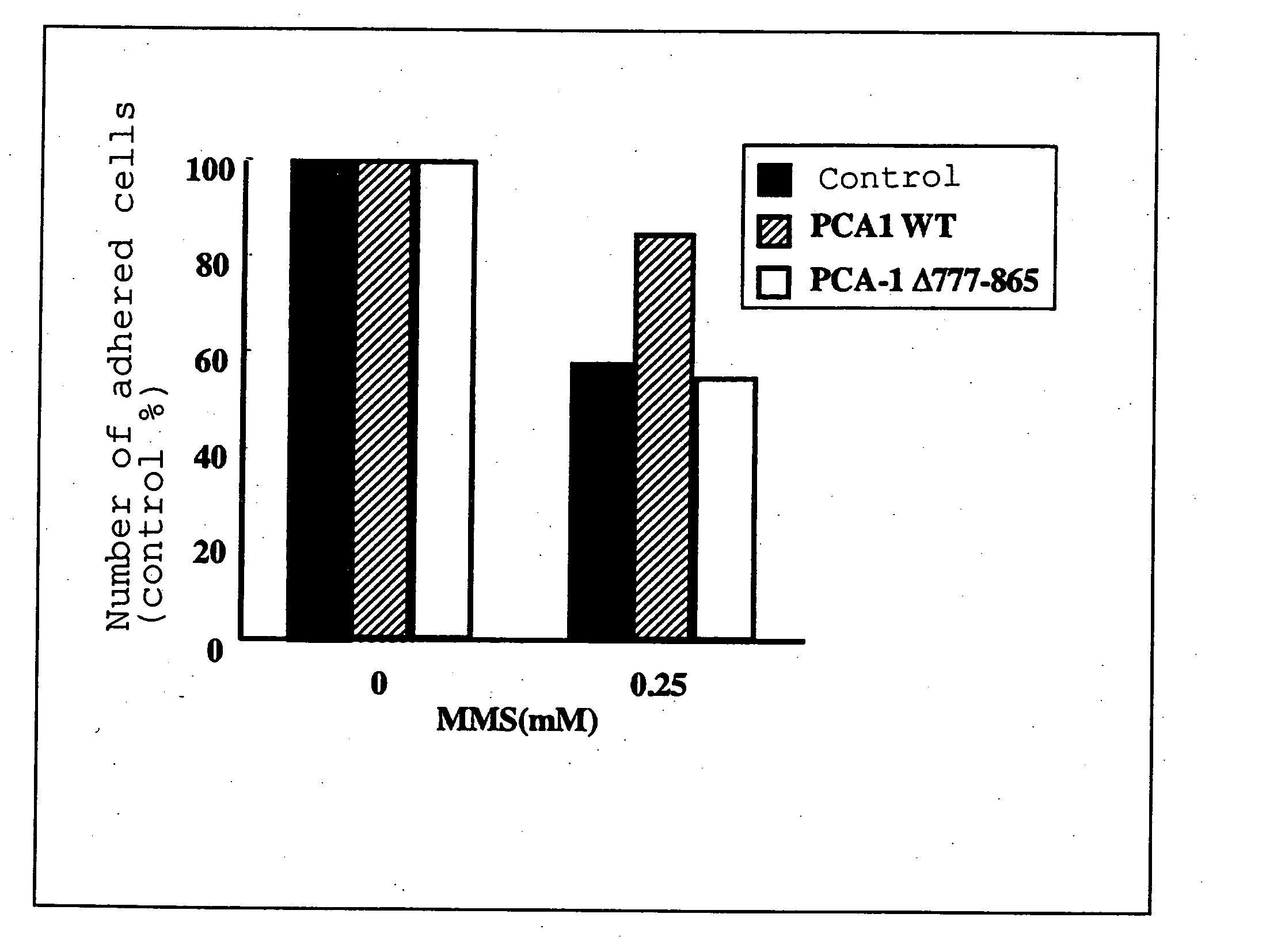 Method Of Adjudicating On Prostate Cancer