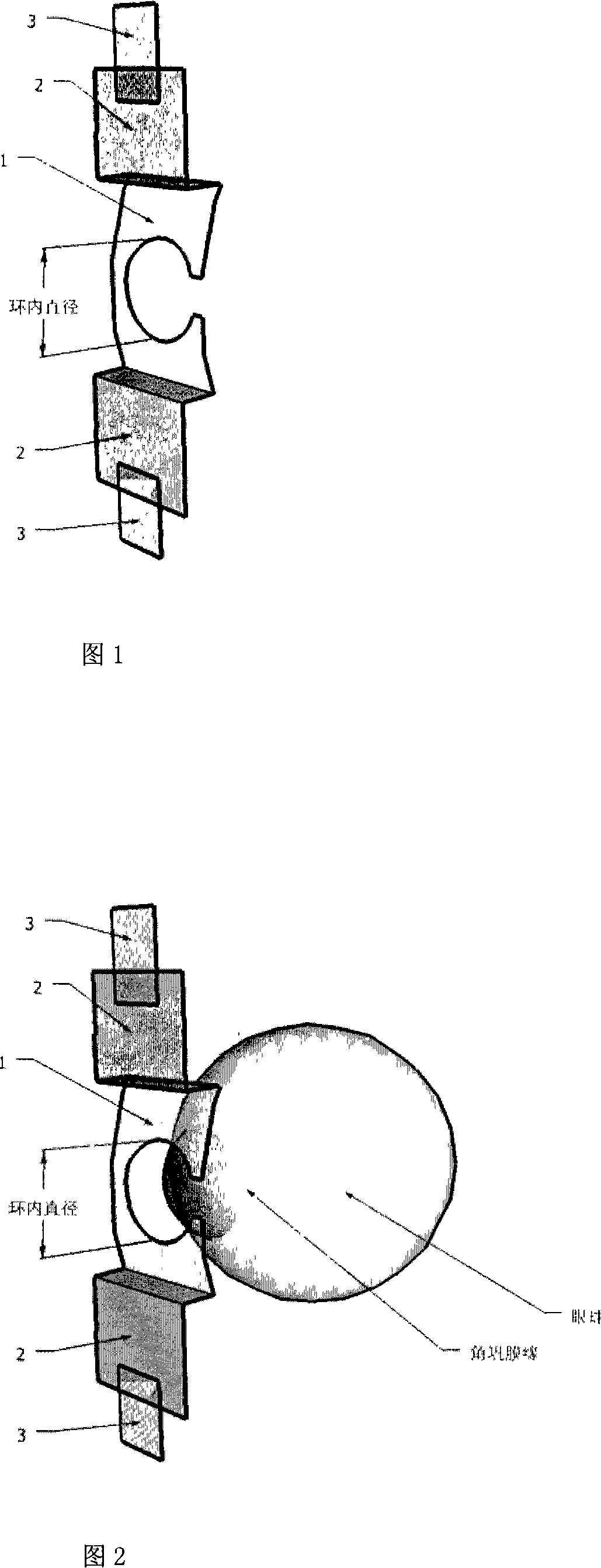 Eyelid retractor capable of fixing eyeball and application thereof