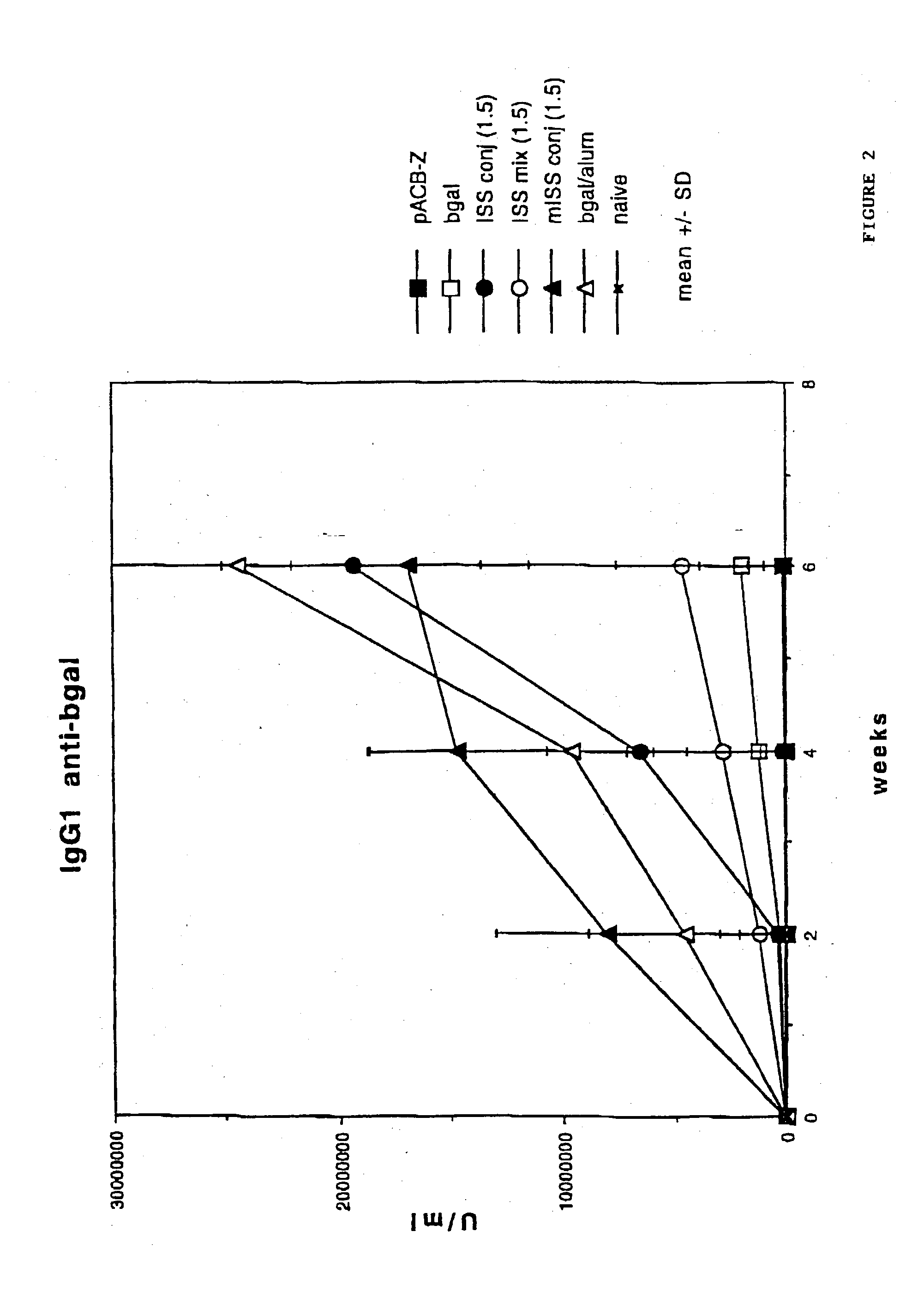 Immunostimulatory polynucleotide/immunomodulatory molecule conjugates