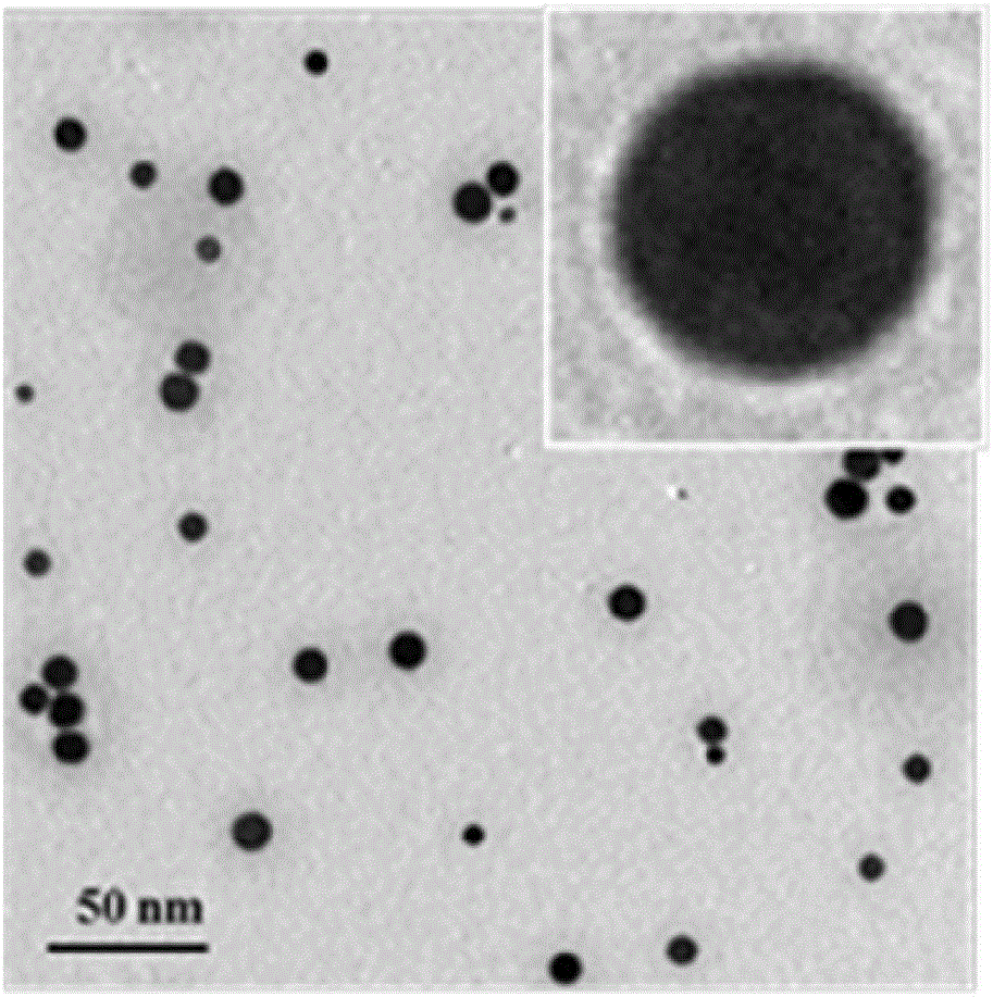 Preparation method of nano simple-substance bismuth diagnosis and treatment agent for CT (computed tomography)/PAT (pericardial adipose tissue) imaging