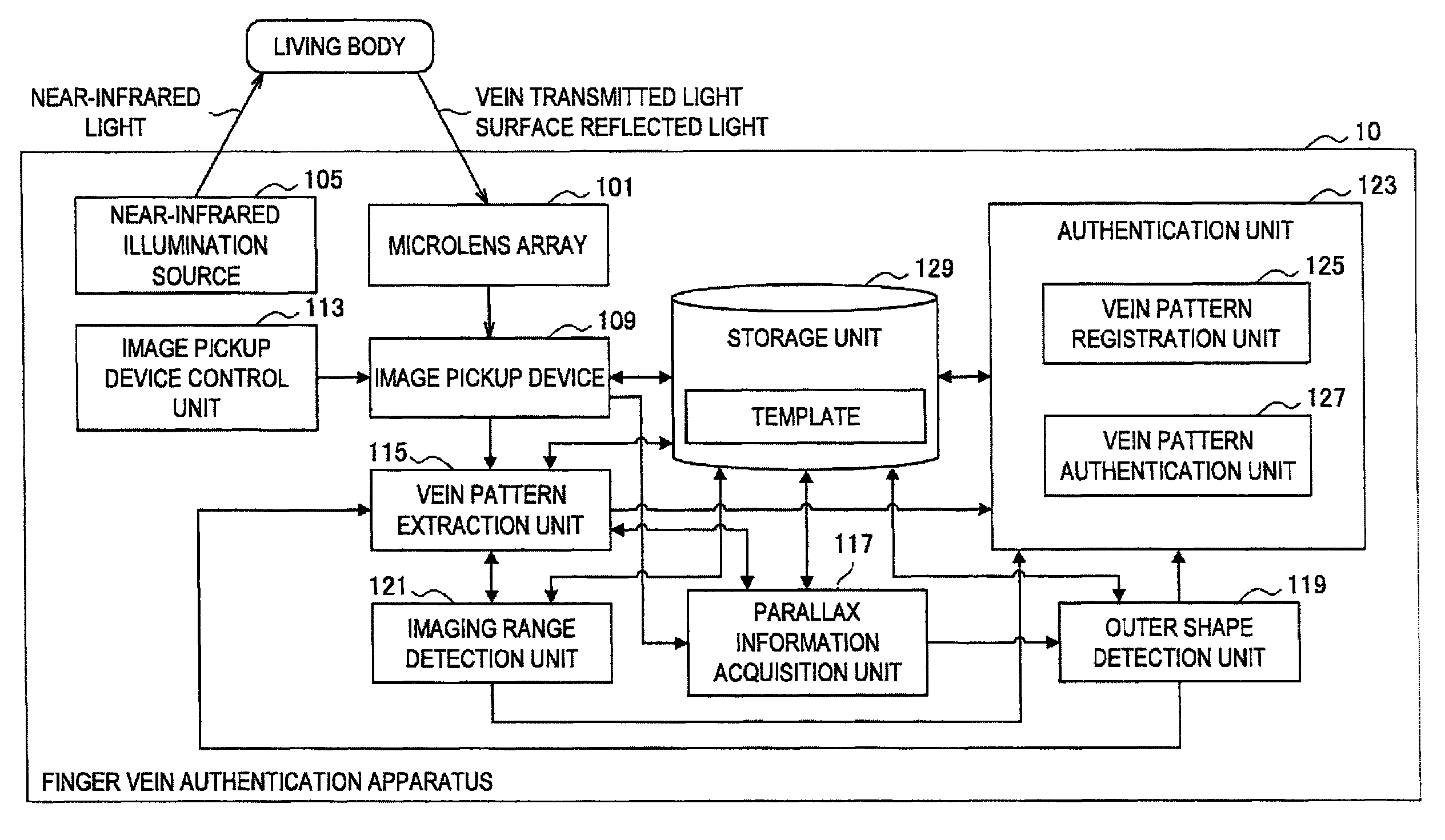 Finger vein authentication apparatus and finger vein authentication method