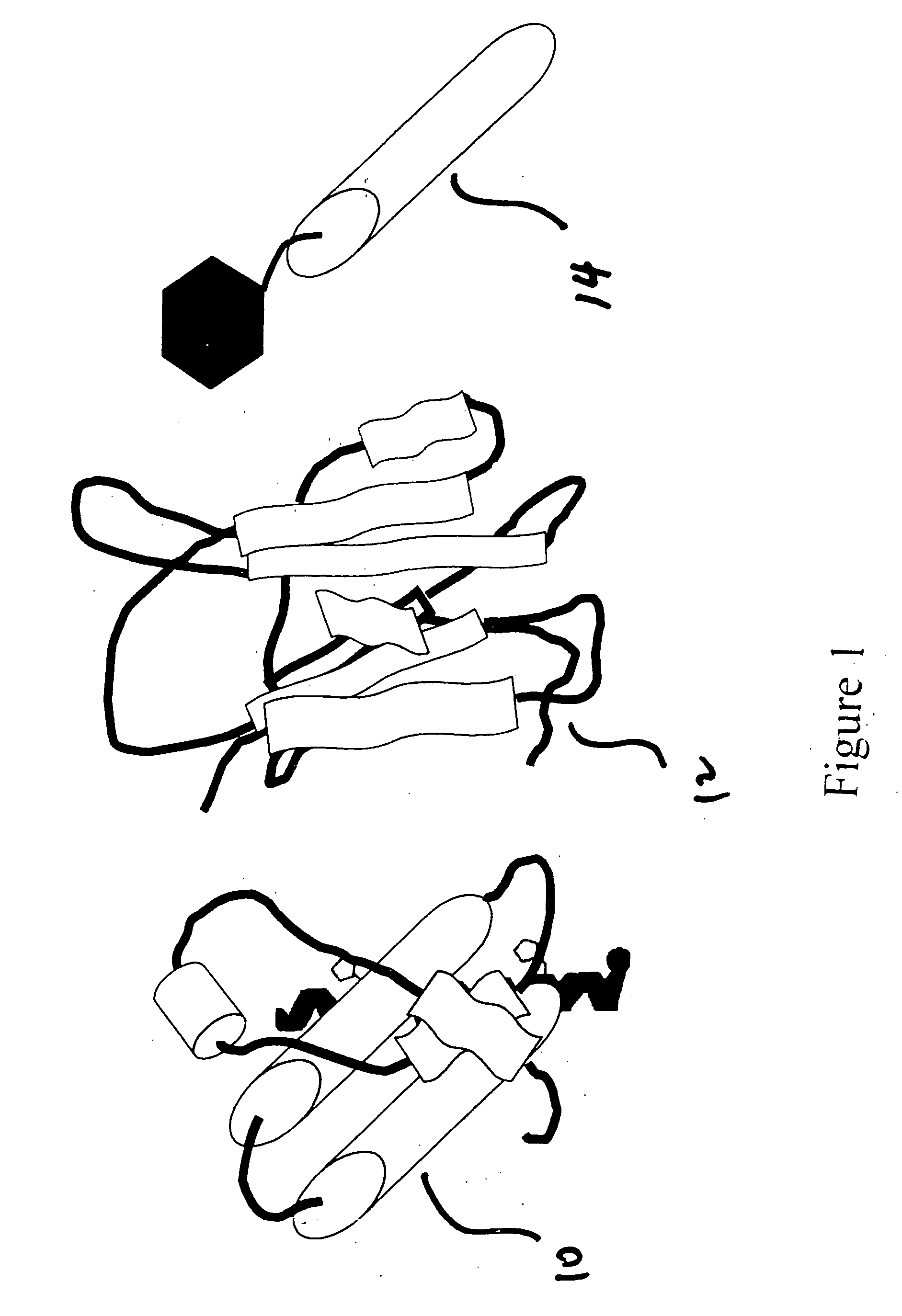 Misfolded protein sensor method in body fluids