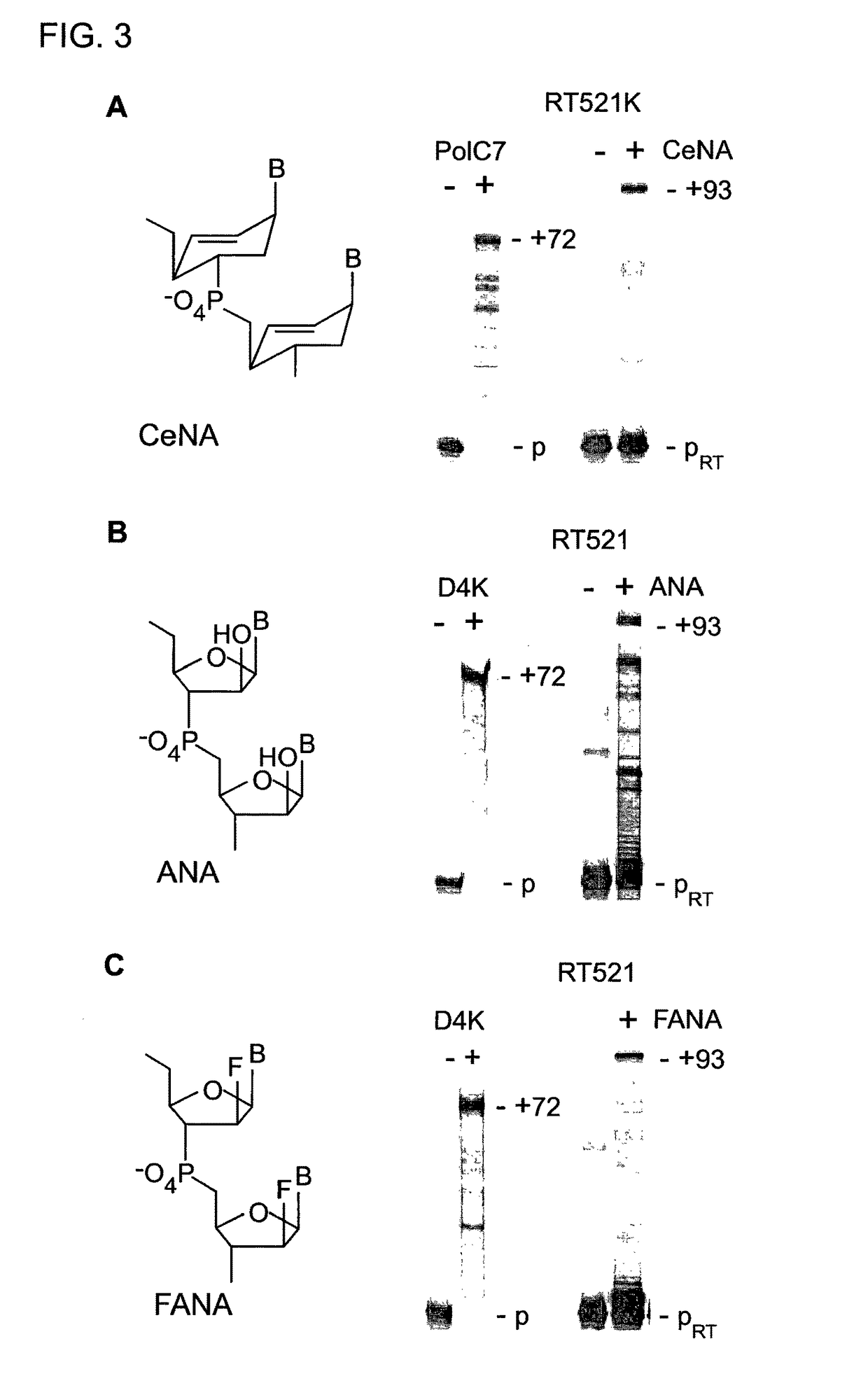 Polymerase capable of producing non-DNA nucleotide polymers