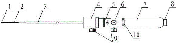 Endoscopic biopsy apparatus