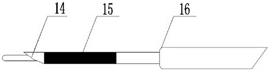 Endoscopic biopsy apparatus