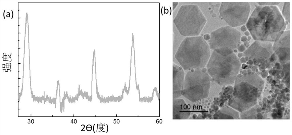 Fluorescence immunochromatography test strip for quantitative detection of zeranol as well as preparation method and application of fluorescence immunochromatography test strip