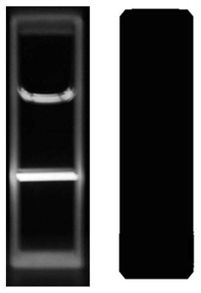 Fluorescence immunochromatography test strip for quantitative detection of zeranol as well as preparation method and application of fluorescence immunochromatography test strip