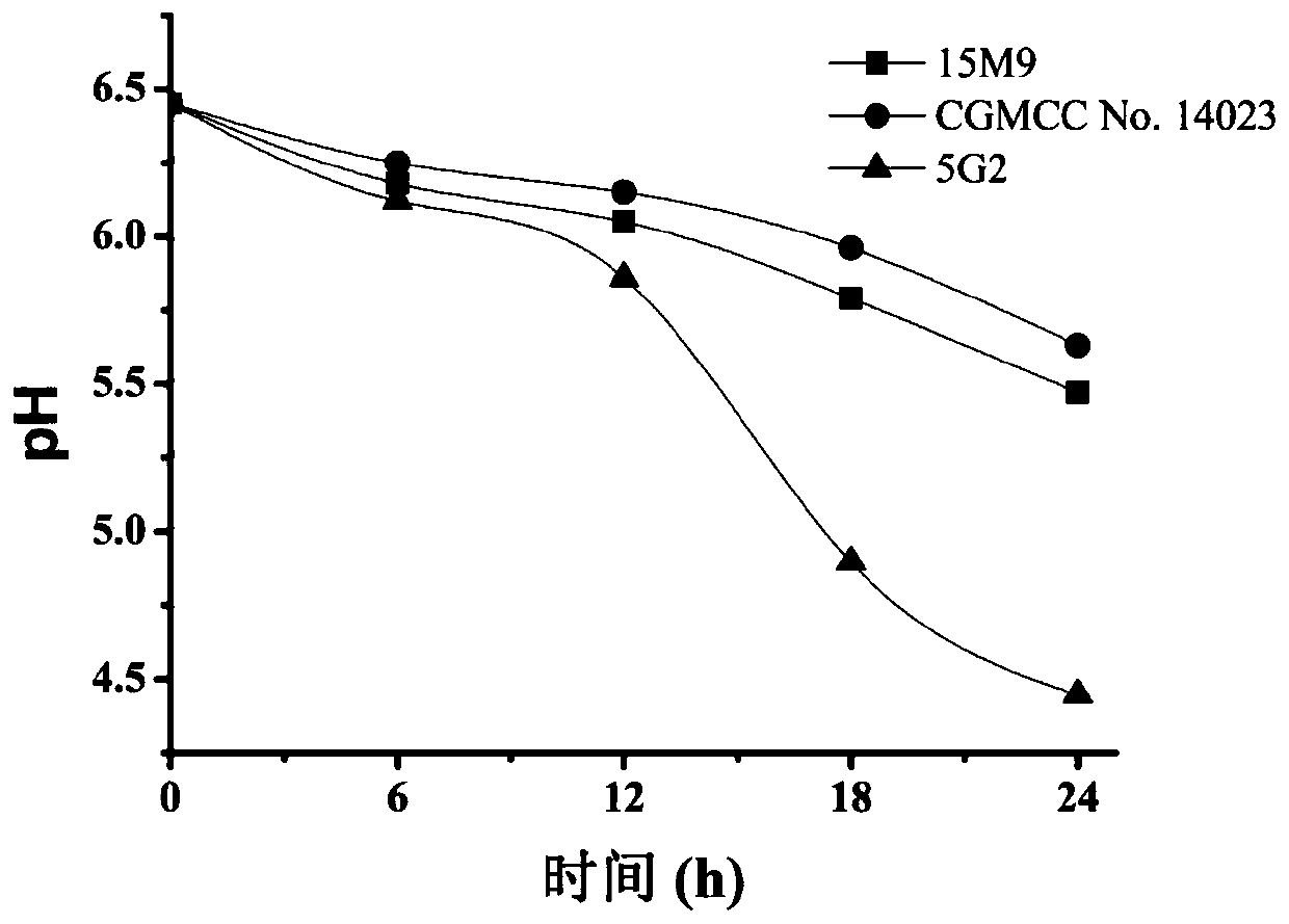 A strain of Lactobacillus paracasei and its application