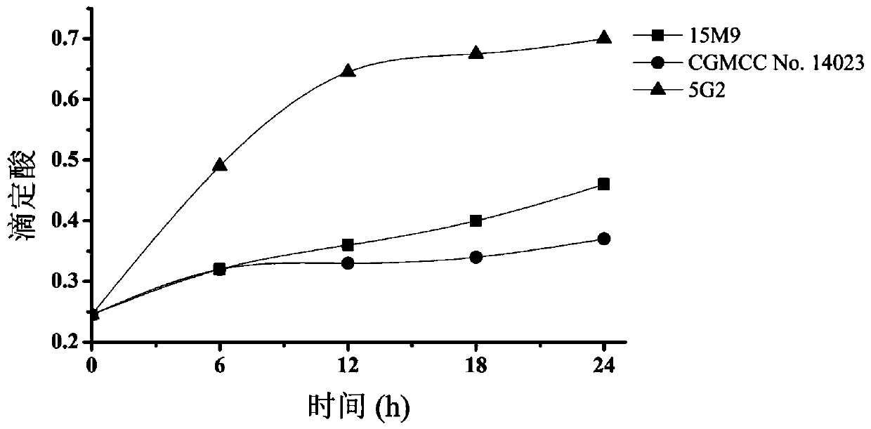 A strain of Lactobacillus paracasei and its application