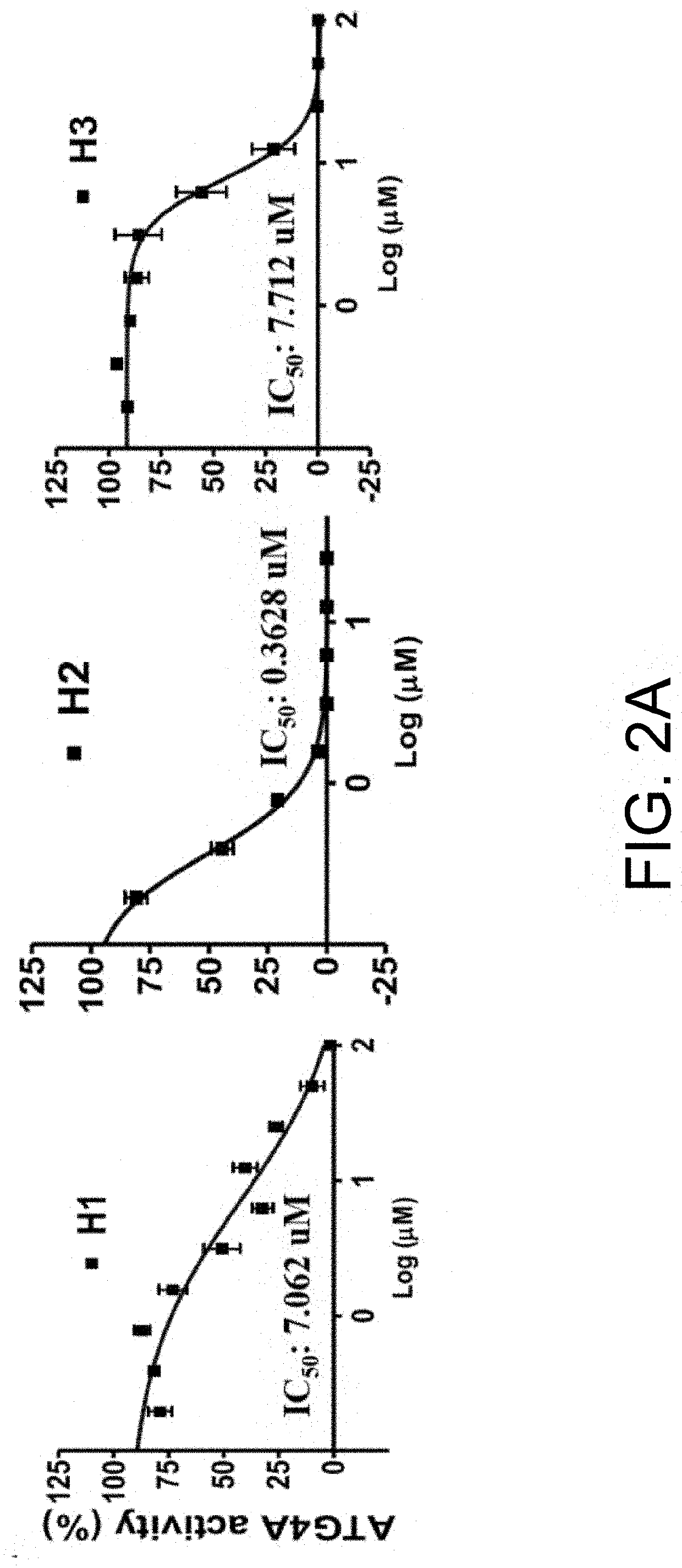 Isolated peptide, Anti-cancer medicinal composition including the same and method of specifically reducing or inhibiting activities of cancer cells using the same