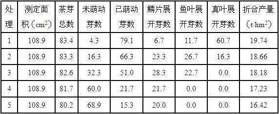 Special efficient tea garden fertilizer rich in biochar and production method thereof