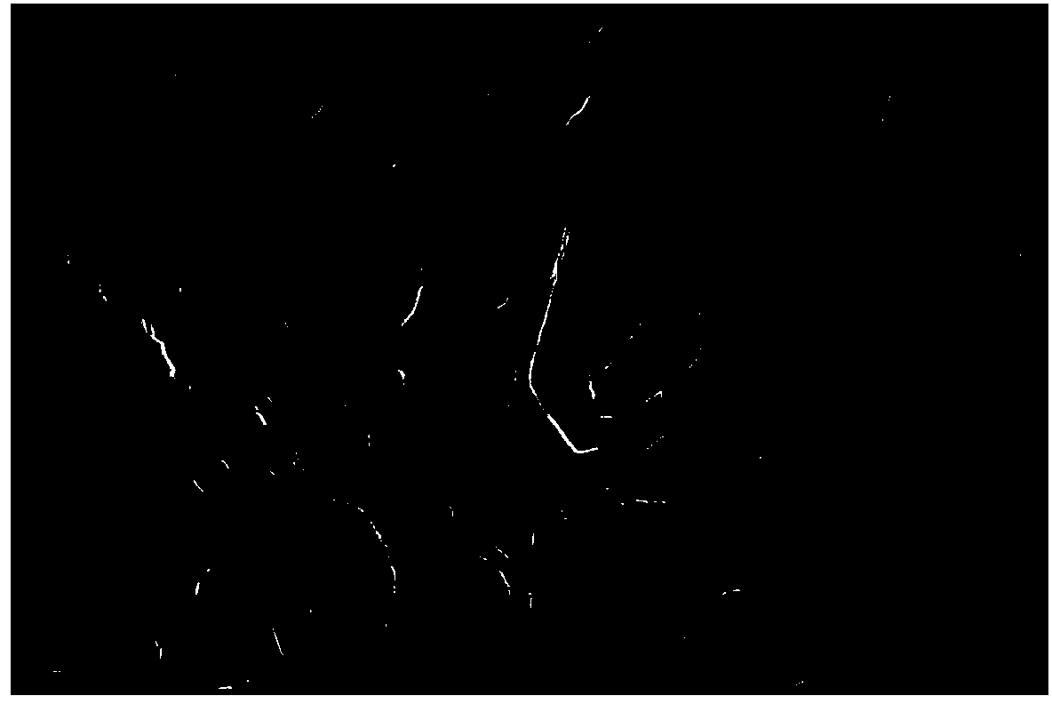 Method for preparing oxidized graphene