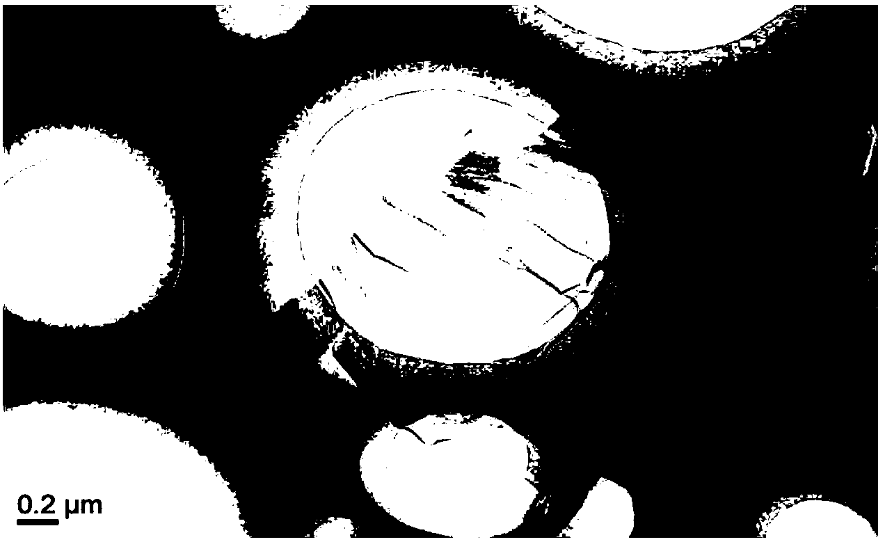 Method for preparing oxidized graphene