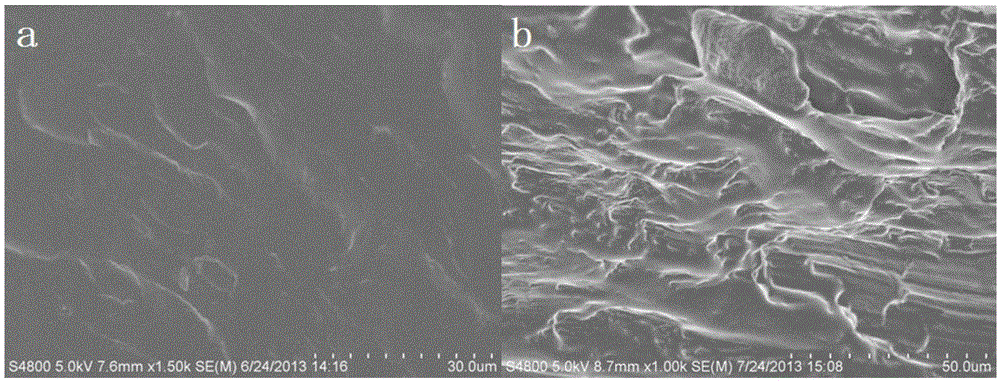 Pre-activated-cellulose thermoplastic material and preparation method thereof