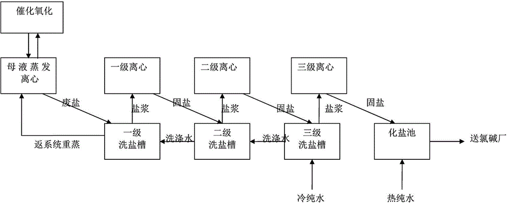 Purification device and purification process for waste salt in by-product of glyphosate