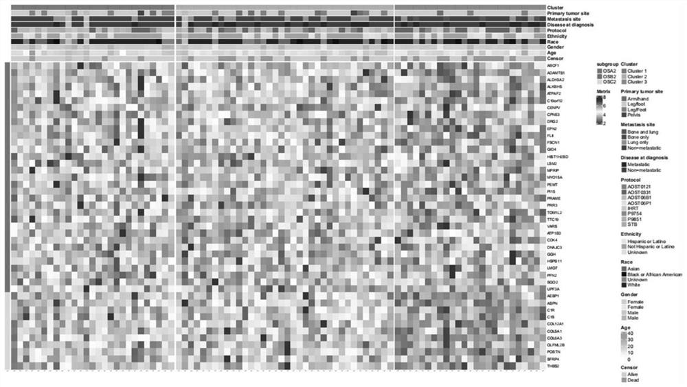 Gene for osteosarcoma typing and osteosarcoma prognosis evaluation and application thereof