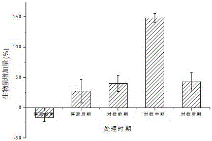 Method of promoting propagation of candida tropicalis through sweep-frequency ultrasonic treatment on candida tropicalis in mid-log phase