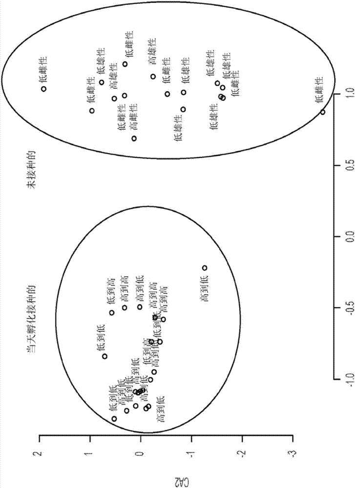 Probiotic compositions and methods of use